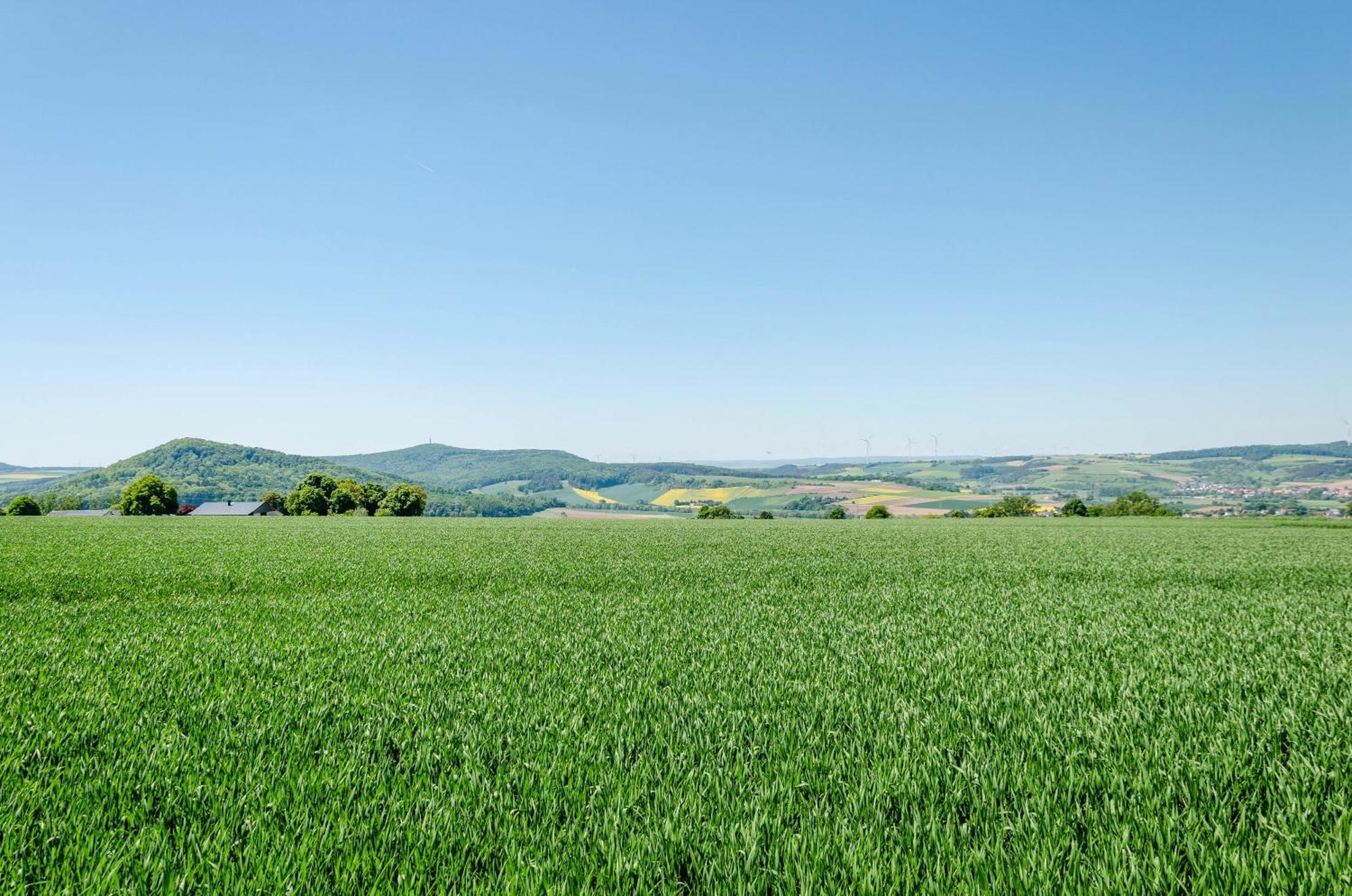 Ferienwohnung Landleben Hofgeismar Exteriér fotografie