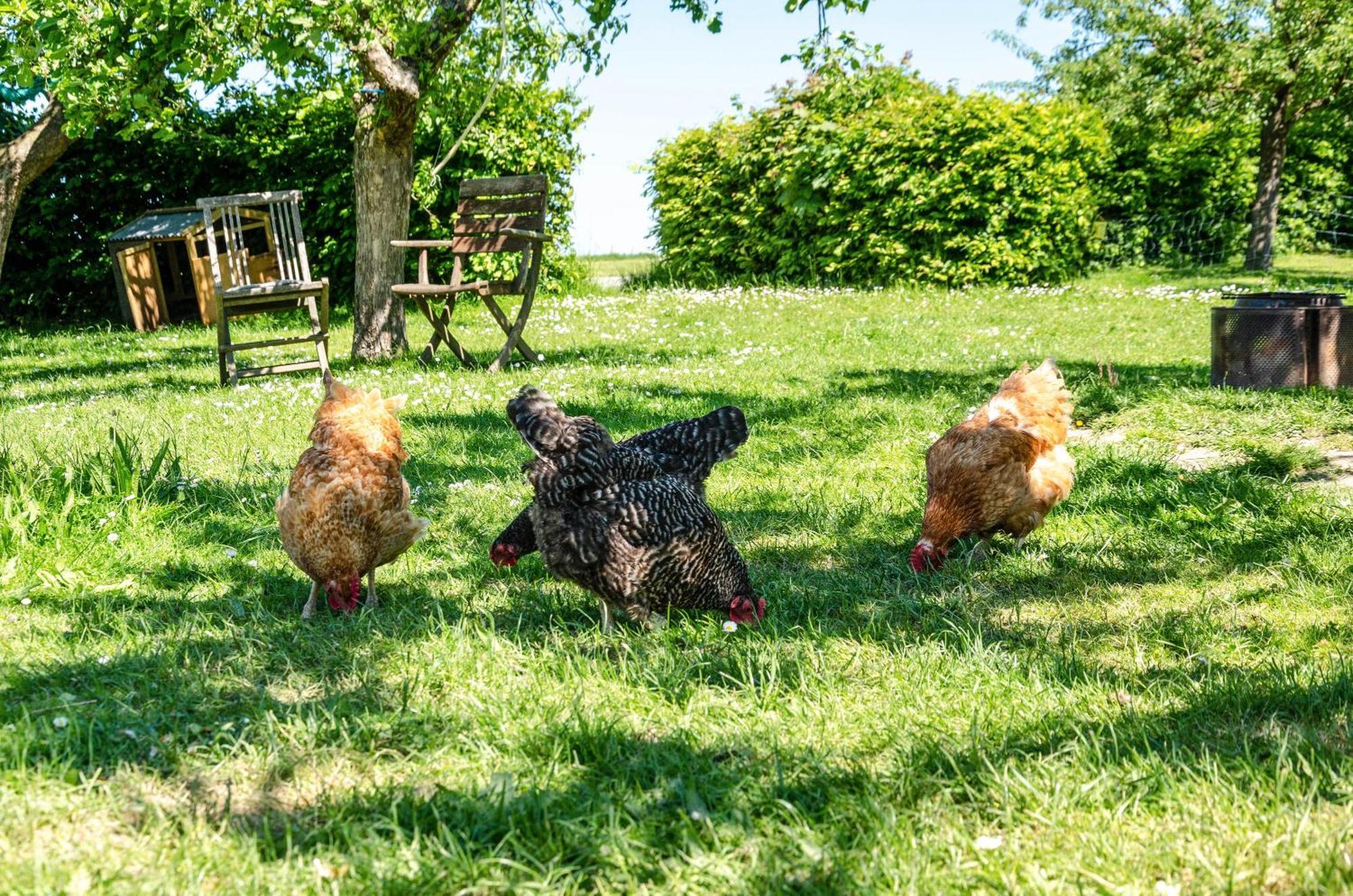 Ferienwohnung Landleben Hofgeismar Exteriér fotografie