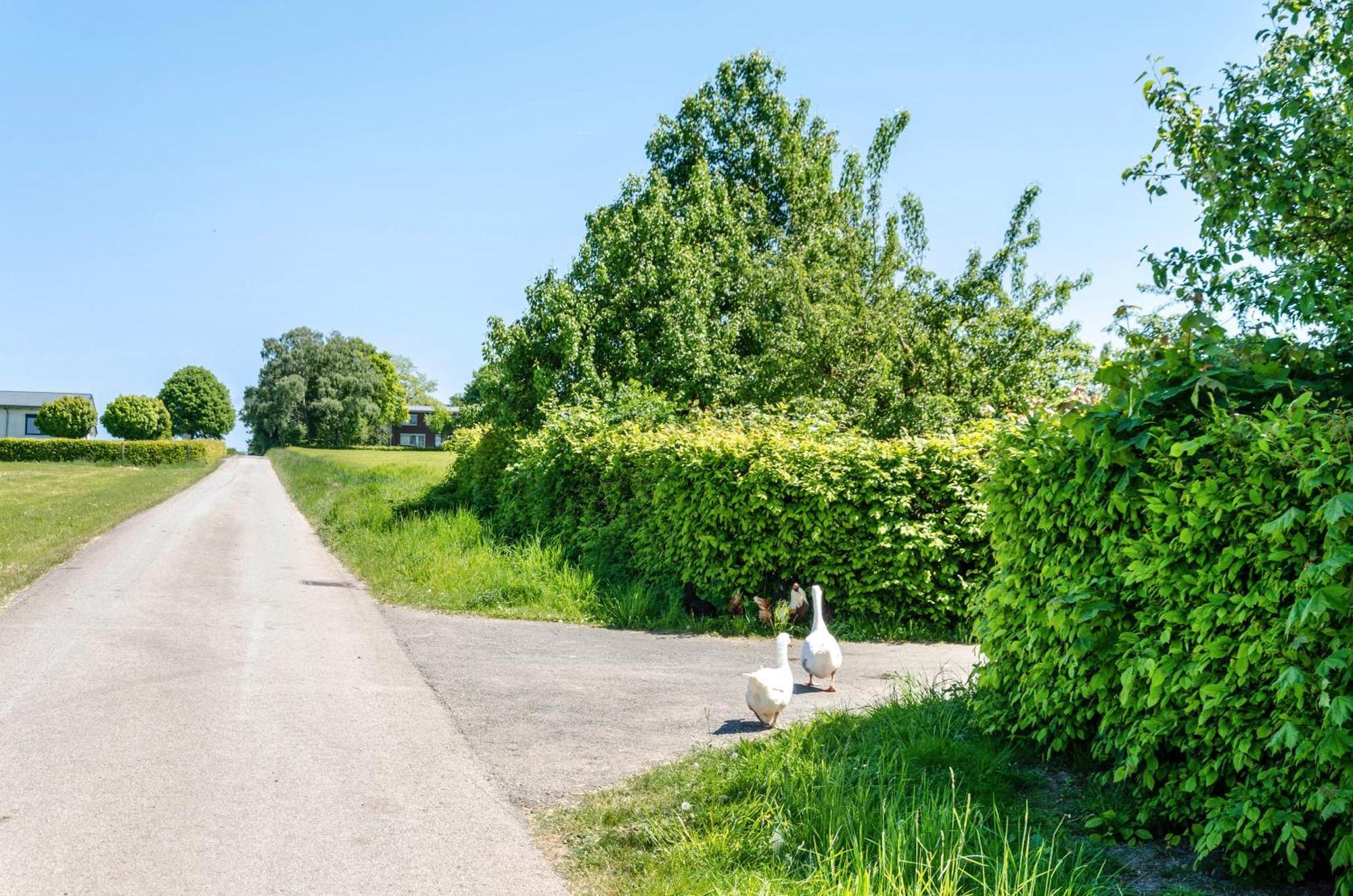 Ferienwohnung Landleben Hofgeismar Exteriér fotografie