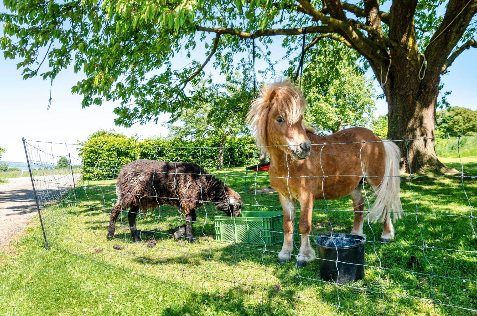 Ferienwohnung Landleben Hofgeismar Exteriér fotografie